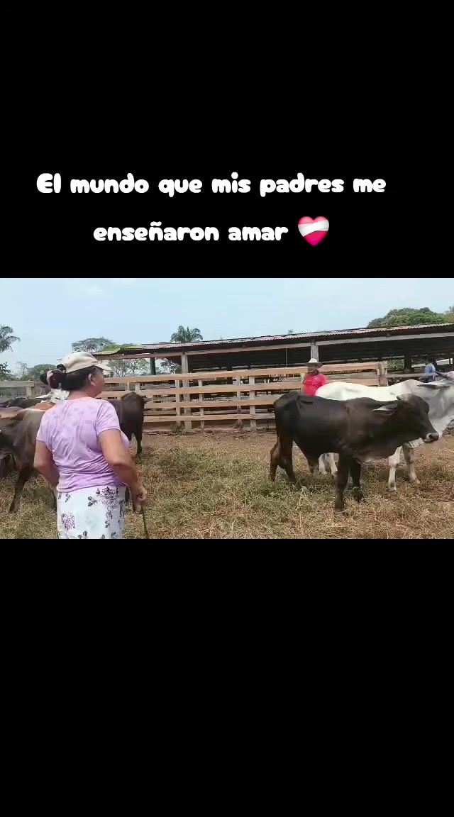 @Pª°✨️