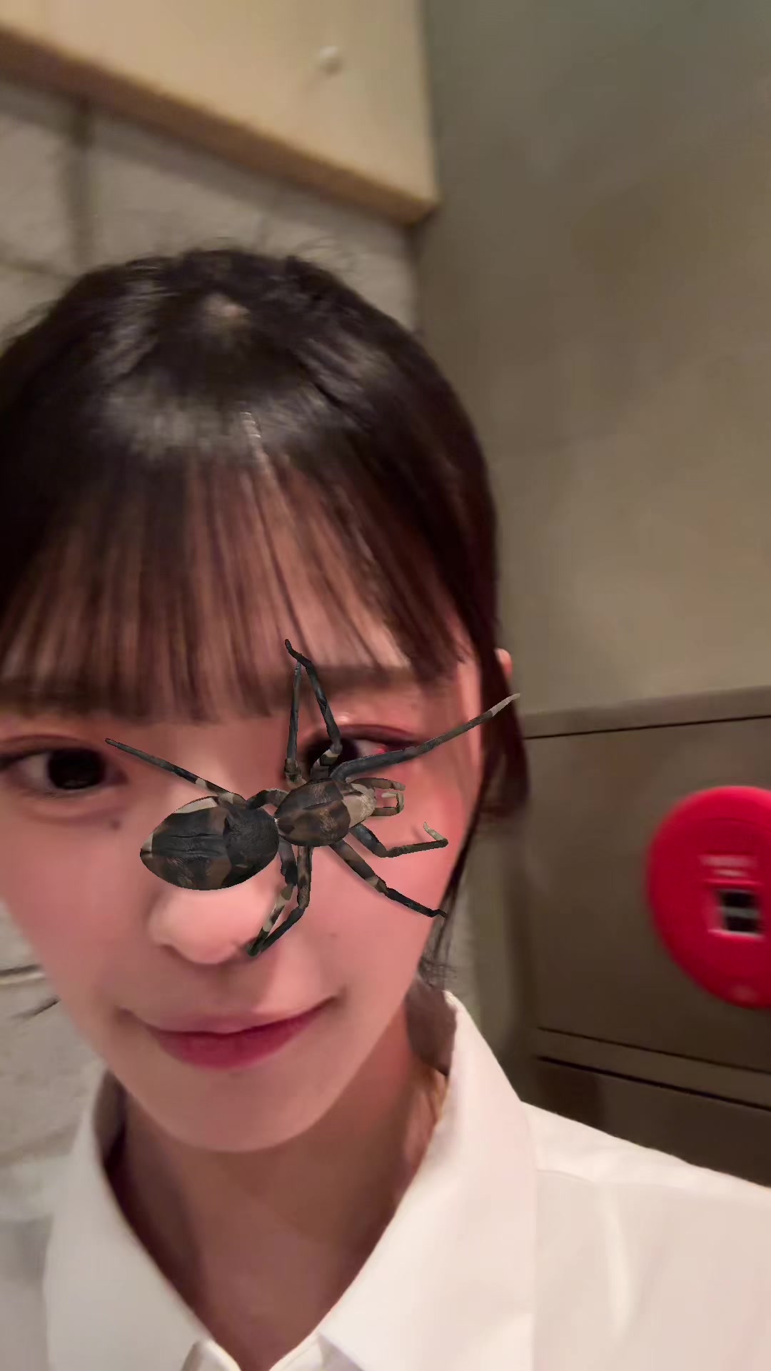 @NMB48
