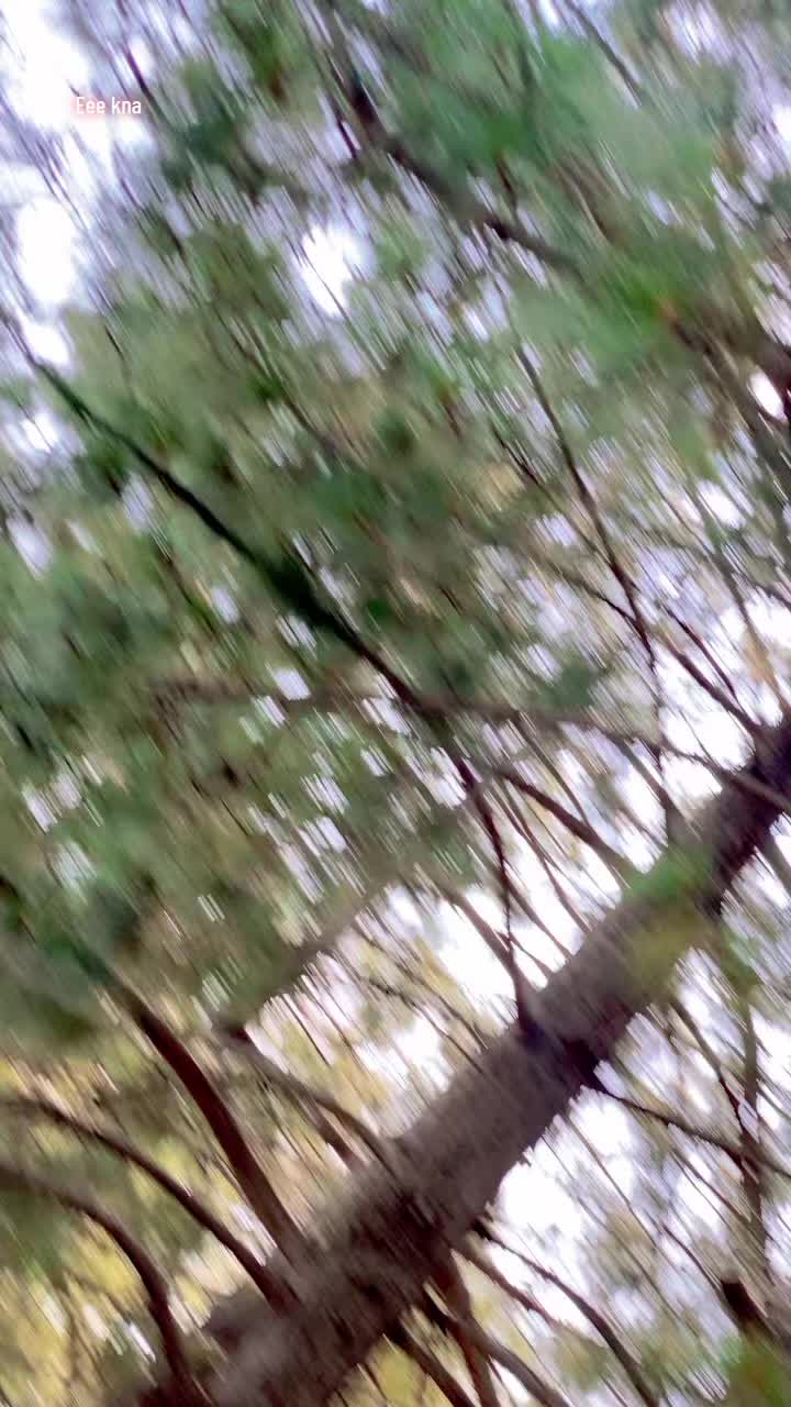 @꧁༒☬ وسم خِٹک ☬༒꧂