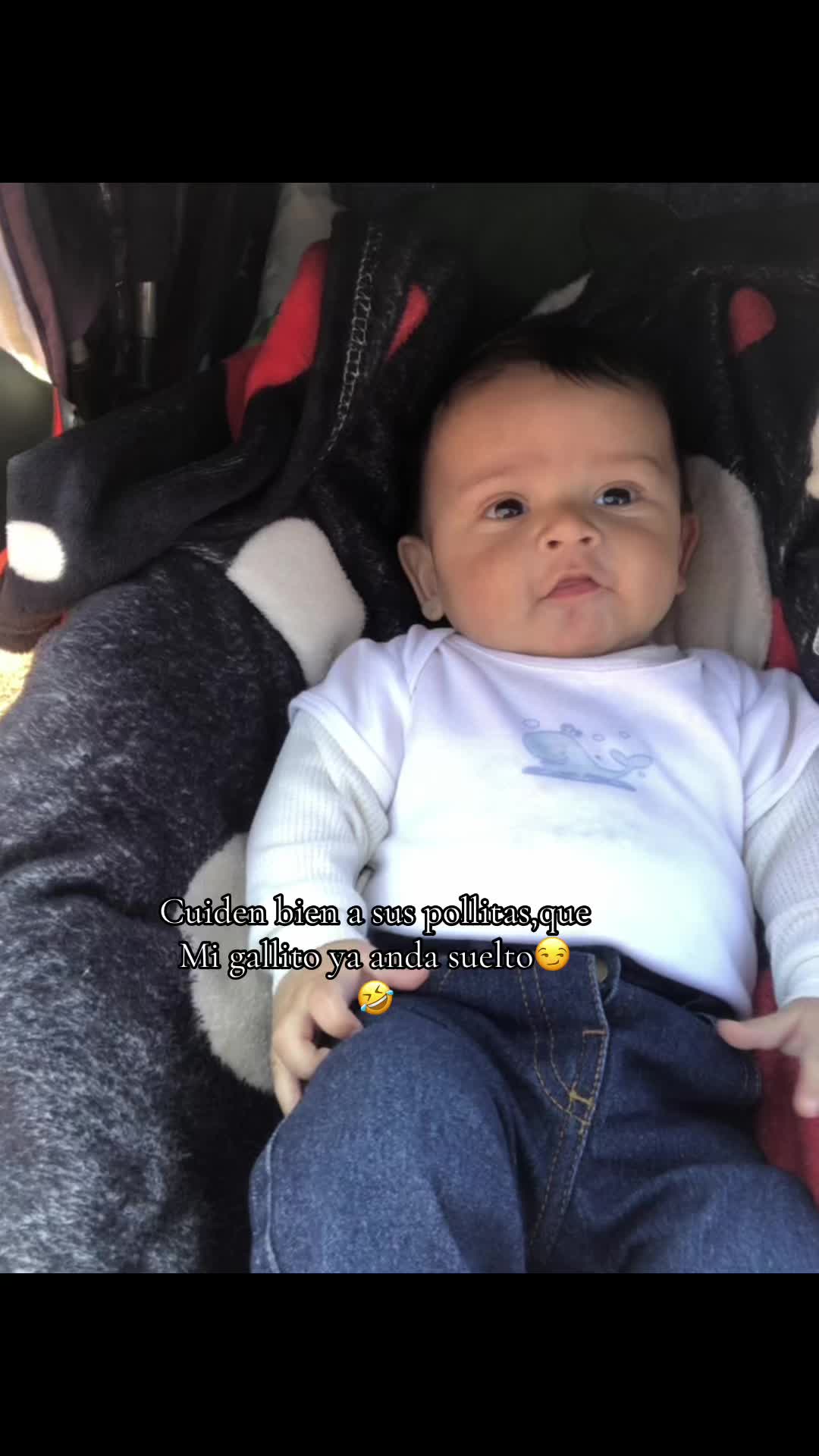 @Aurora Gimenez