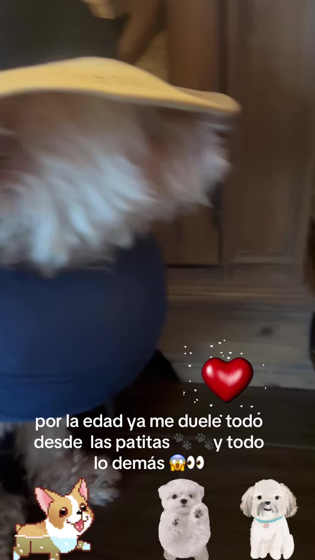 @los3huevertos