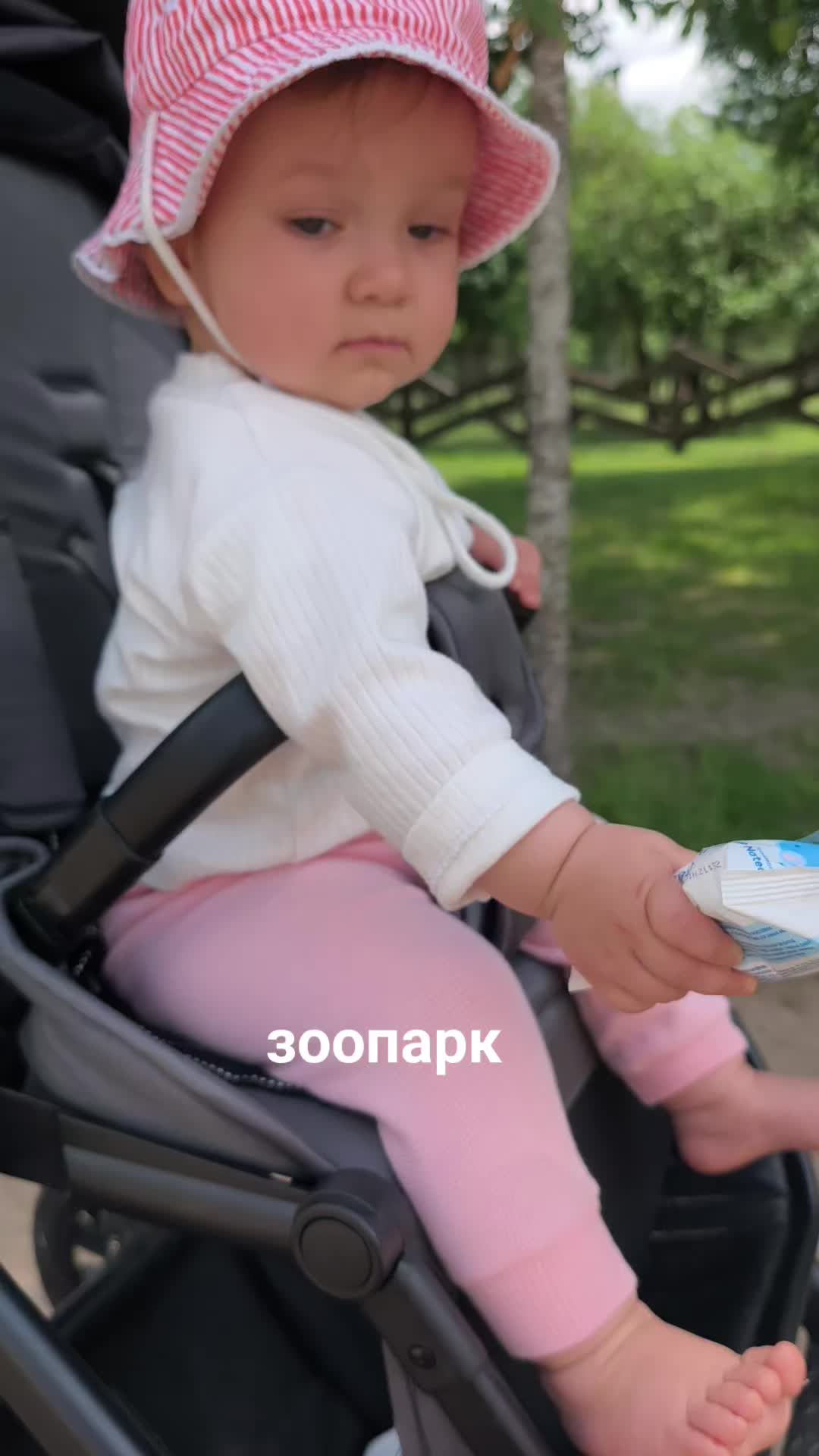@yuricsolikcarp