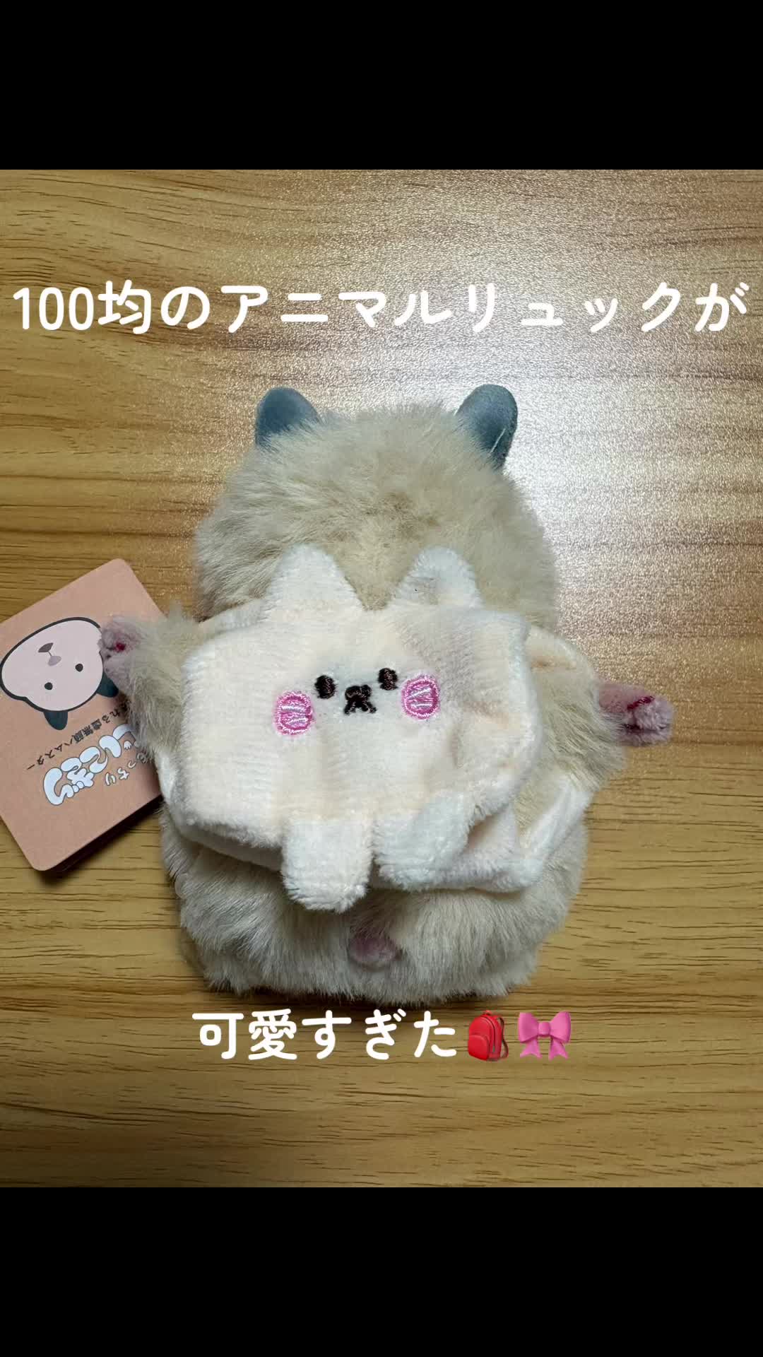 @はむにぎるね🌙