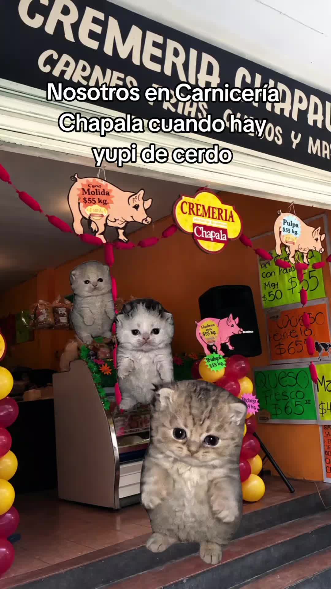 @Jeremyy João❤️