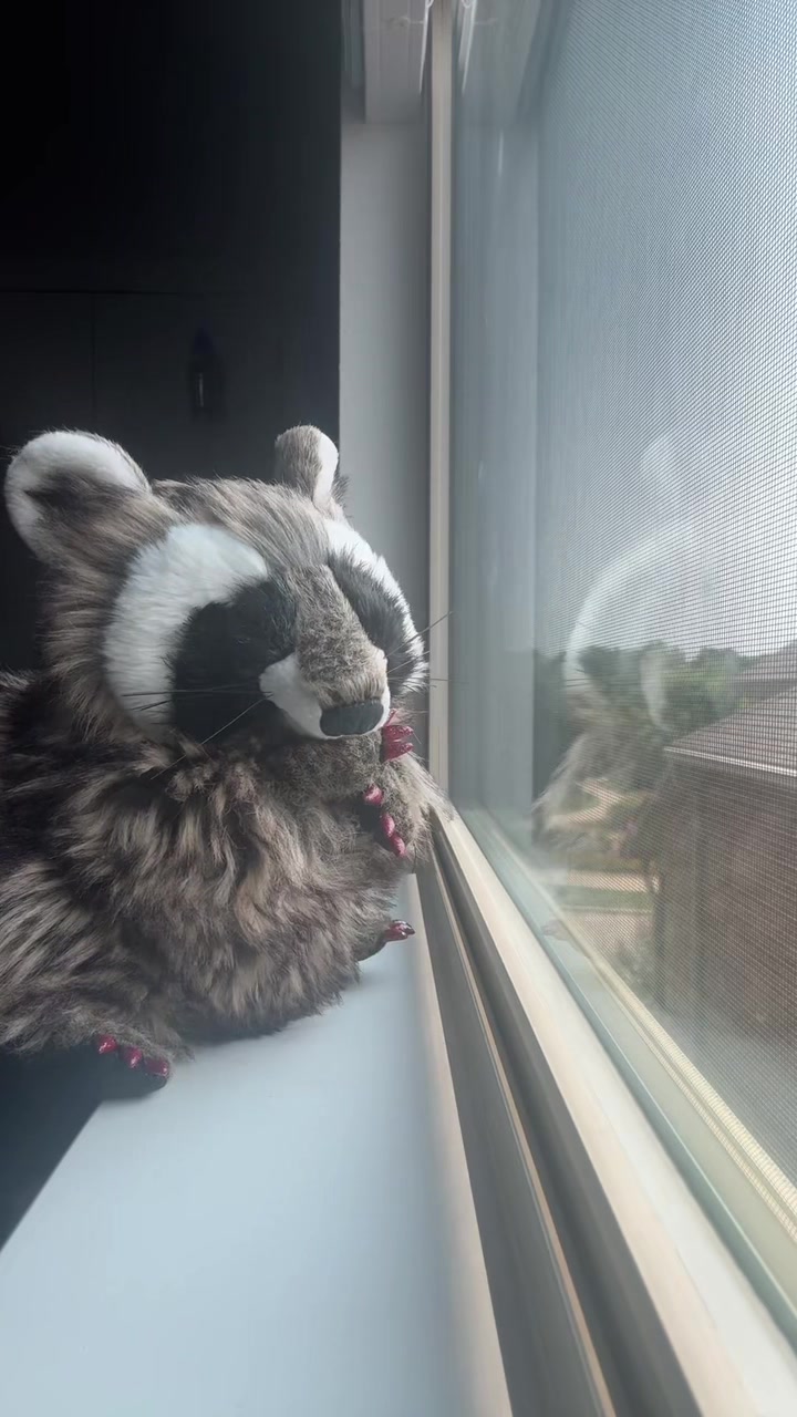 @Cookie 🍪 🦝