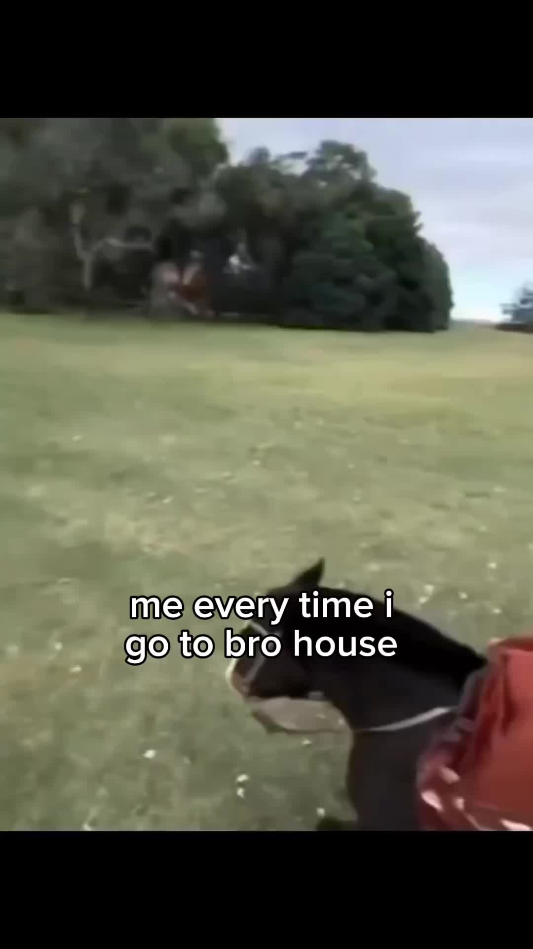 @𝗖𝗔𝗧𝗦