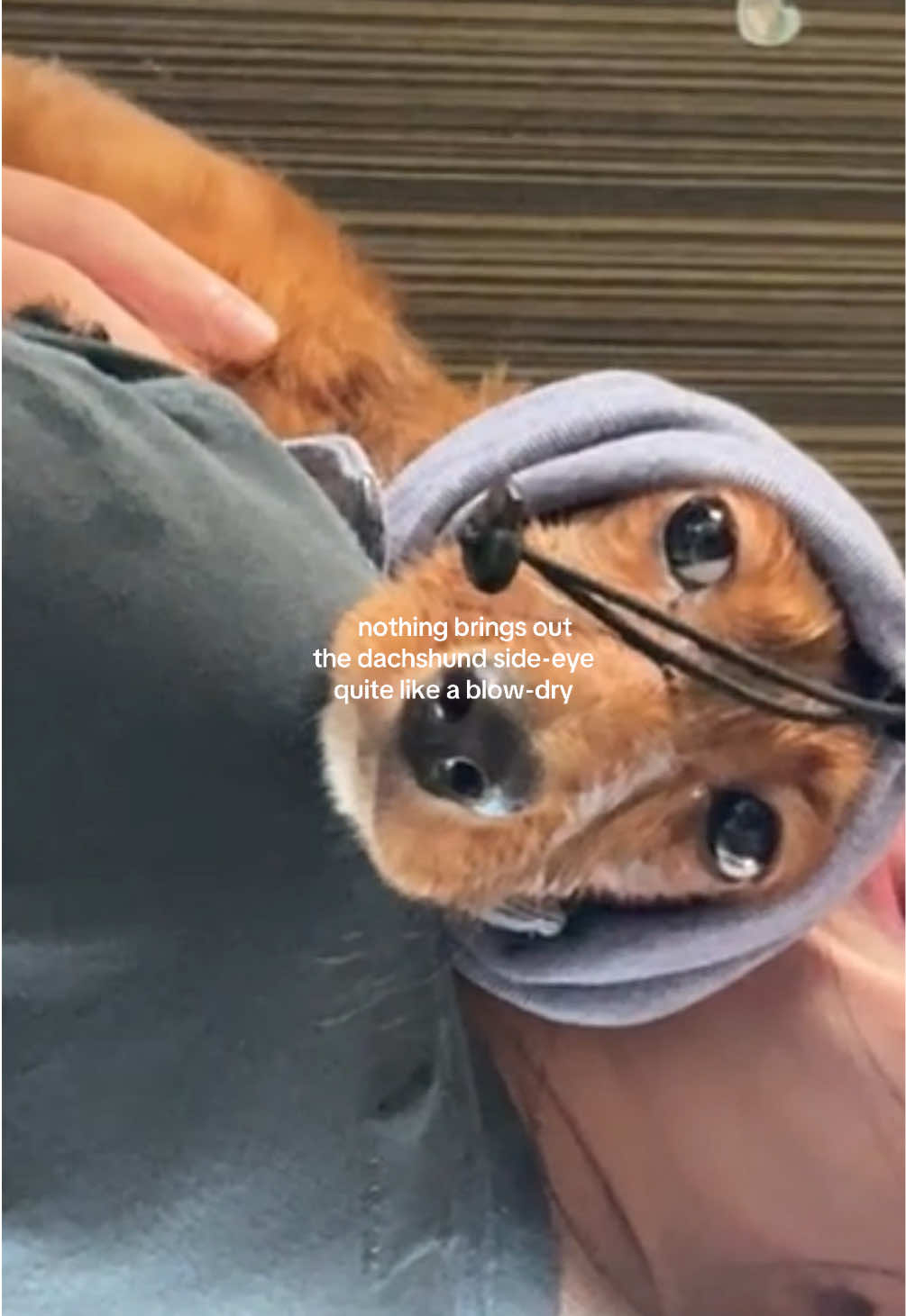 @nadine