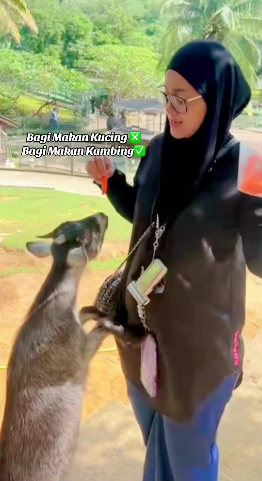 @Anita Baharom