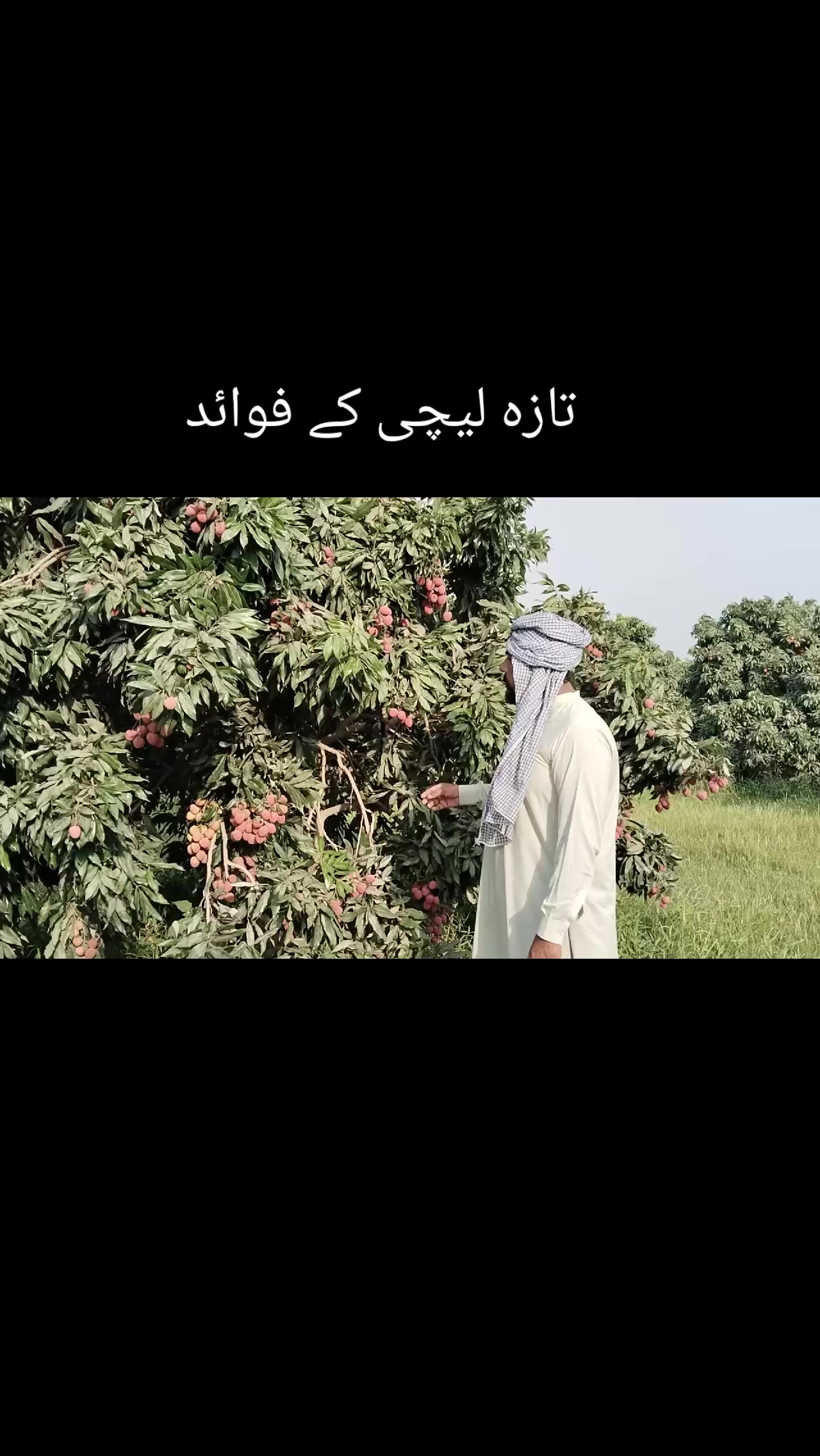 @Zaheer Farooqi