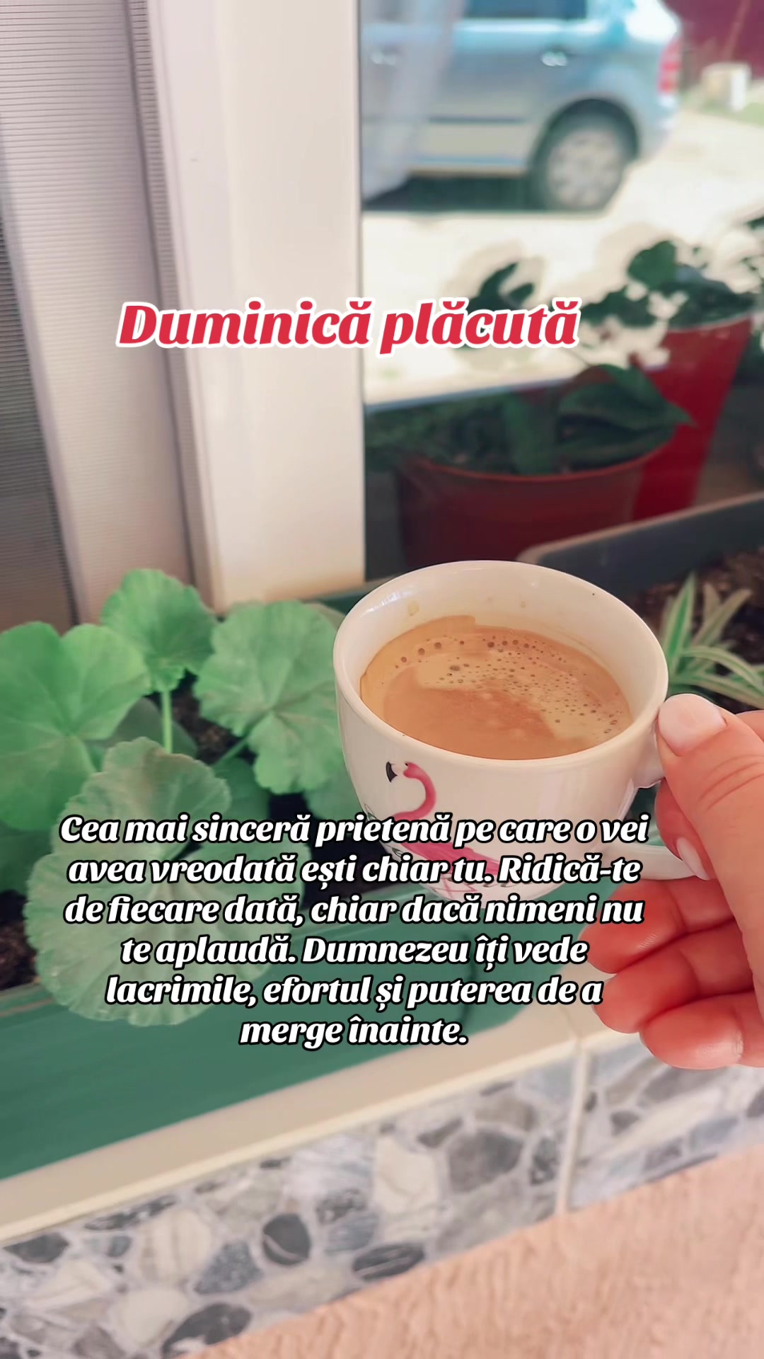 @Cristina Manea