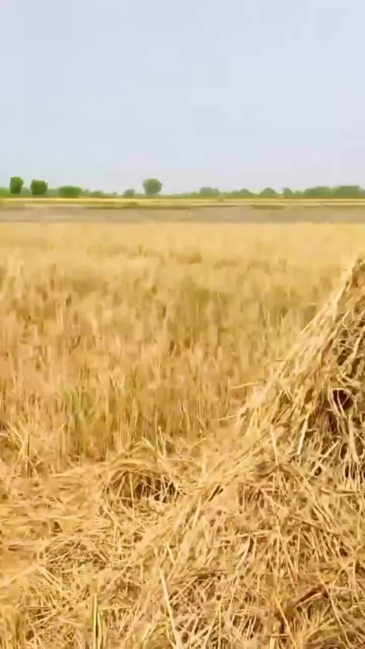 @MrKing110_2