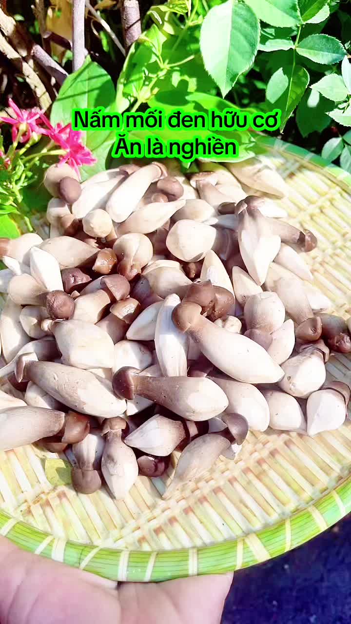 @nguyentuyet_79