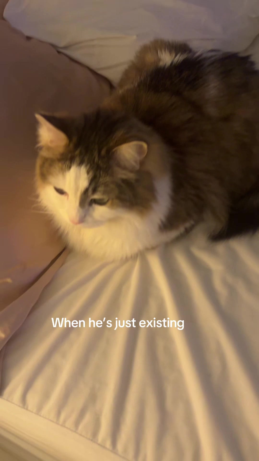 @Princesspoopoo