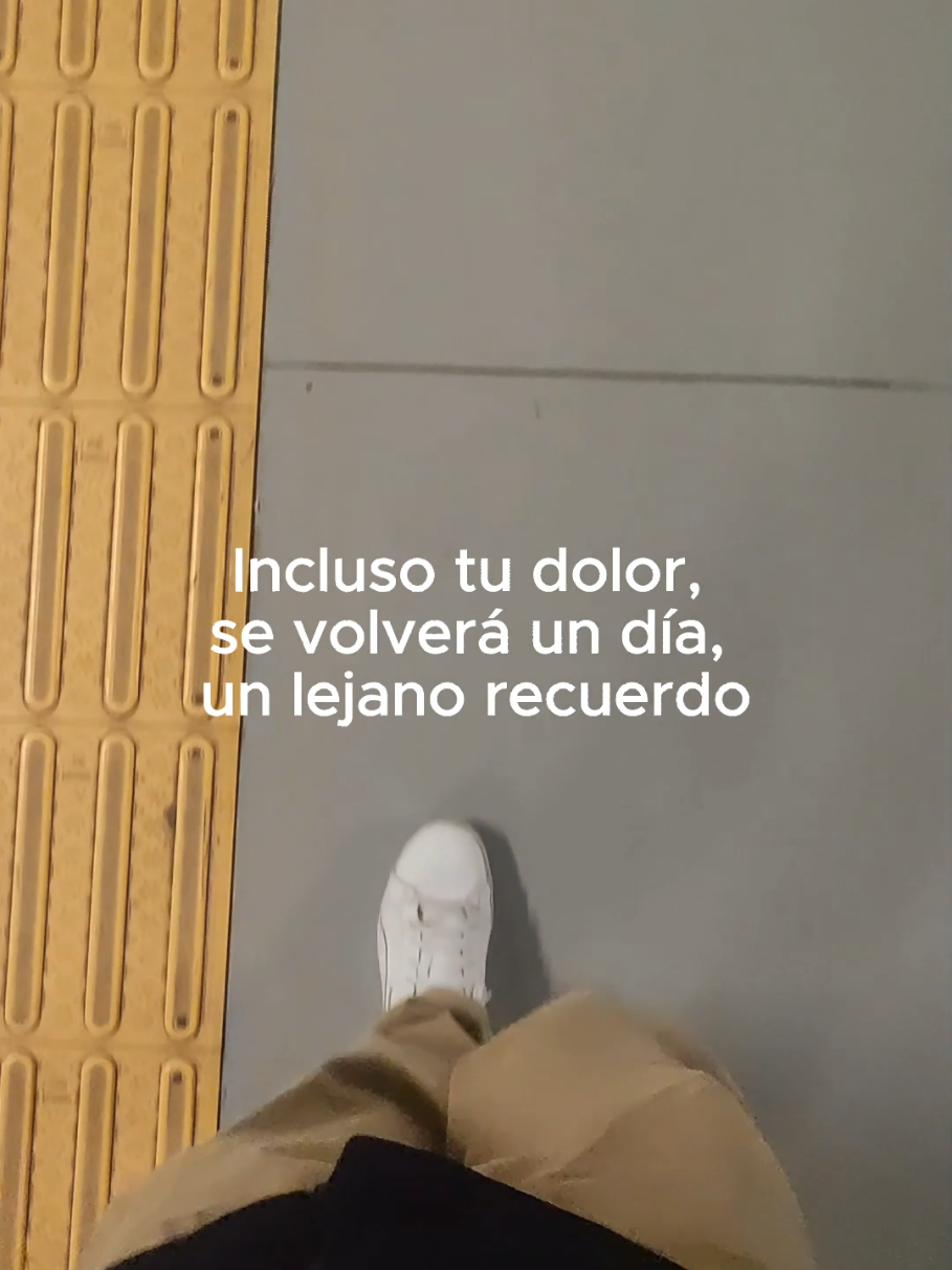 @Tamauta