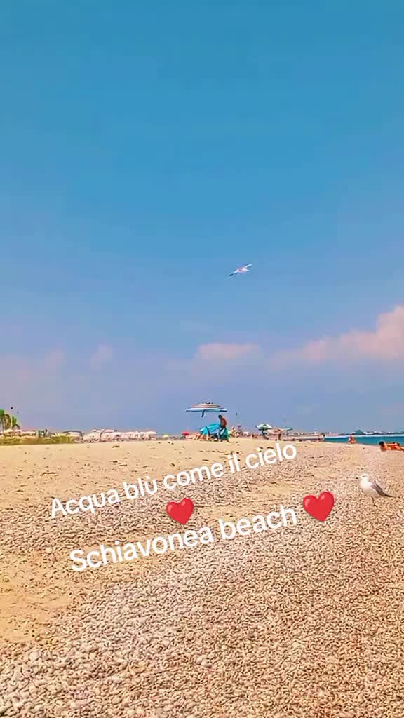 @Salvo66