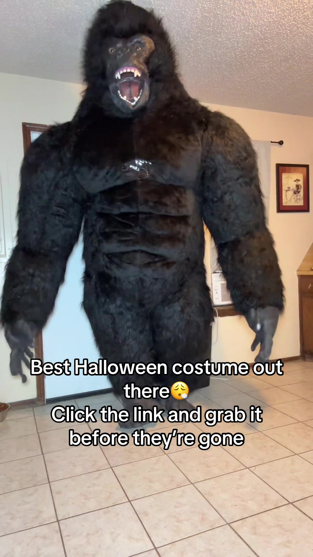 @Jesse Gillette