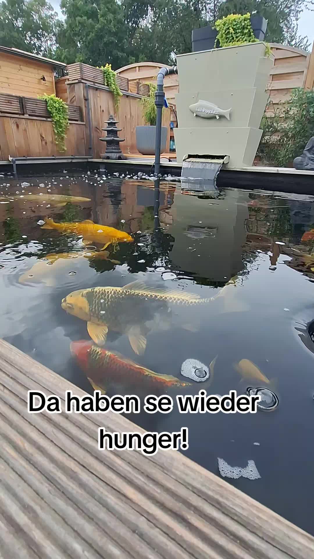 @Milo