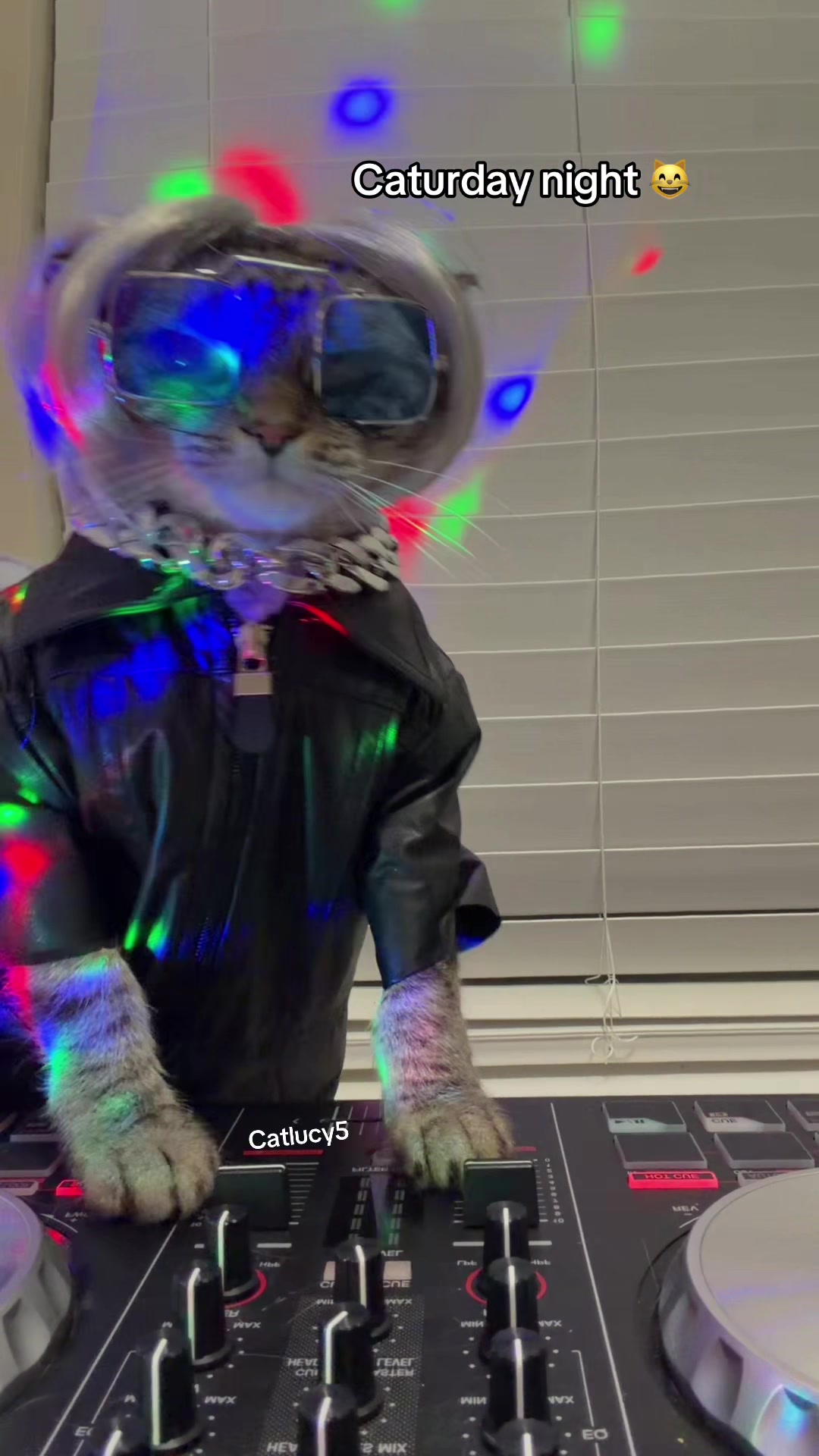 @Cat Lucy