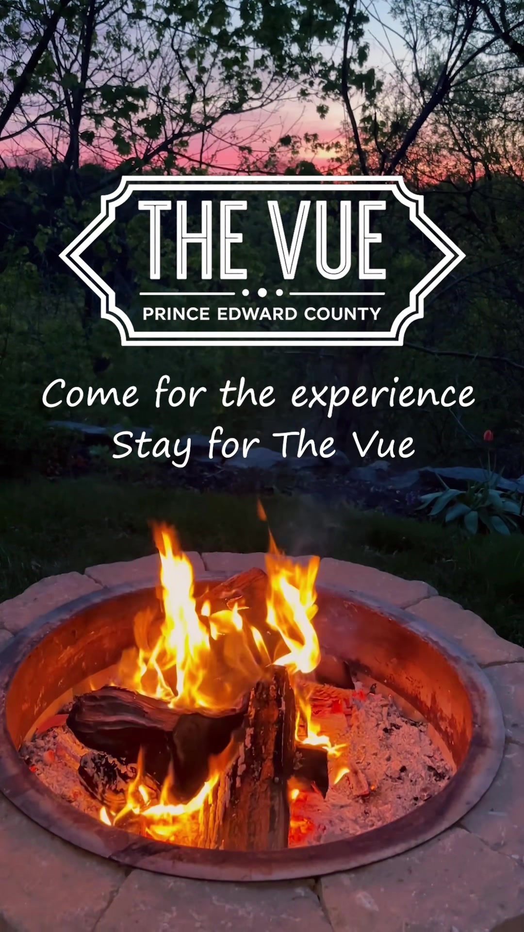 @The Vue