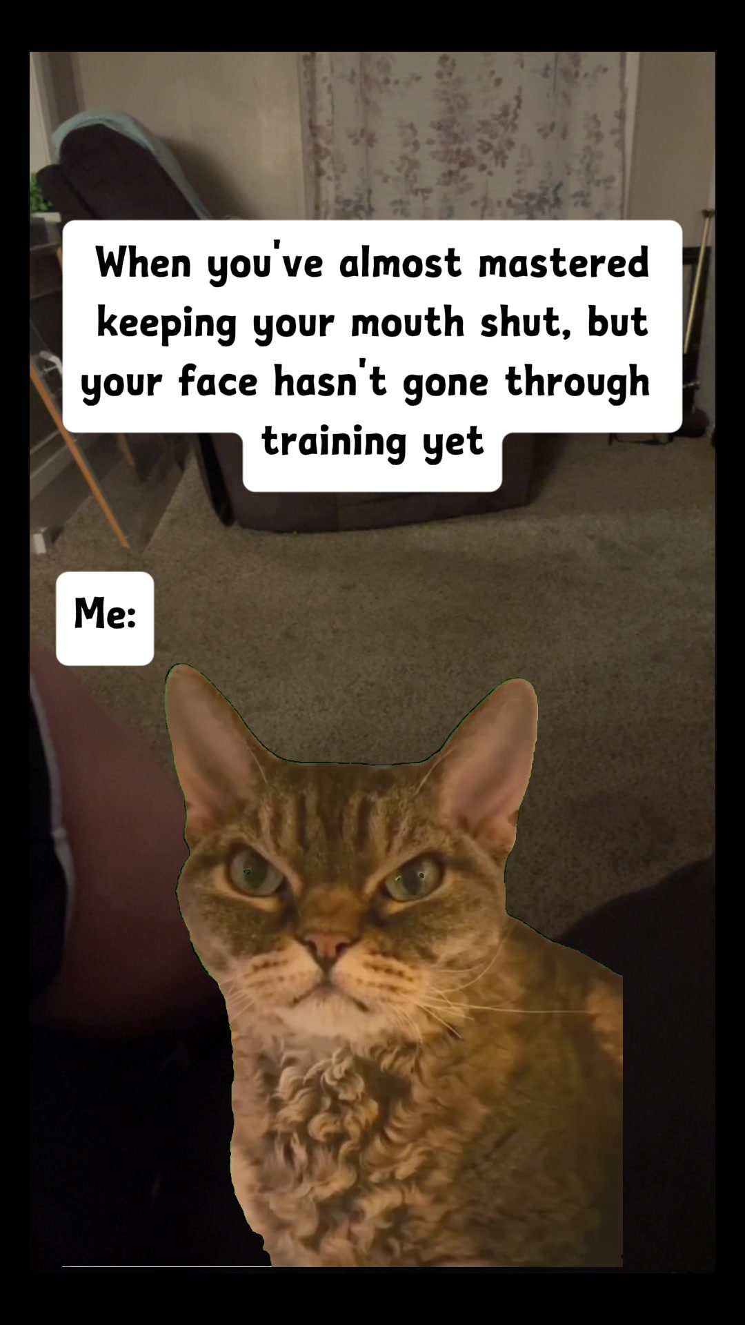 @meme
