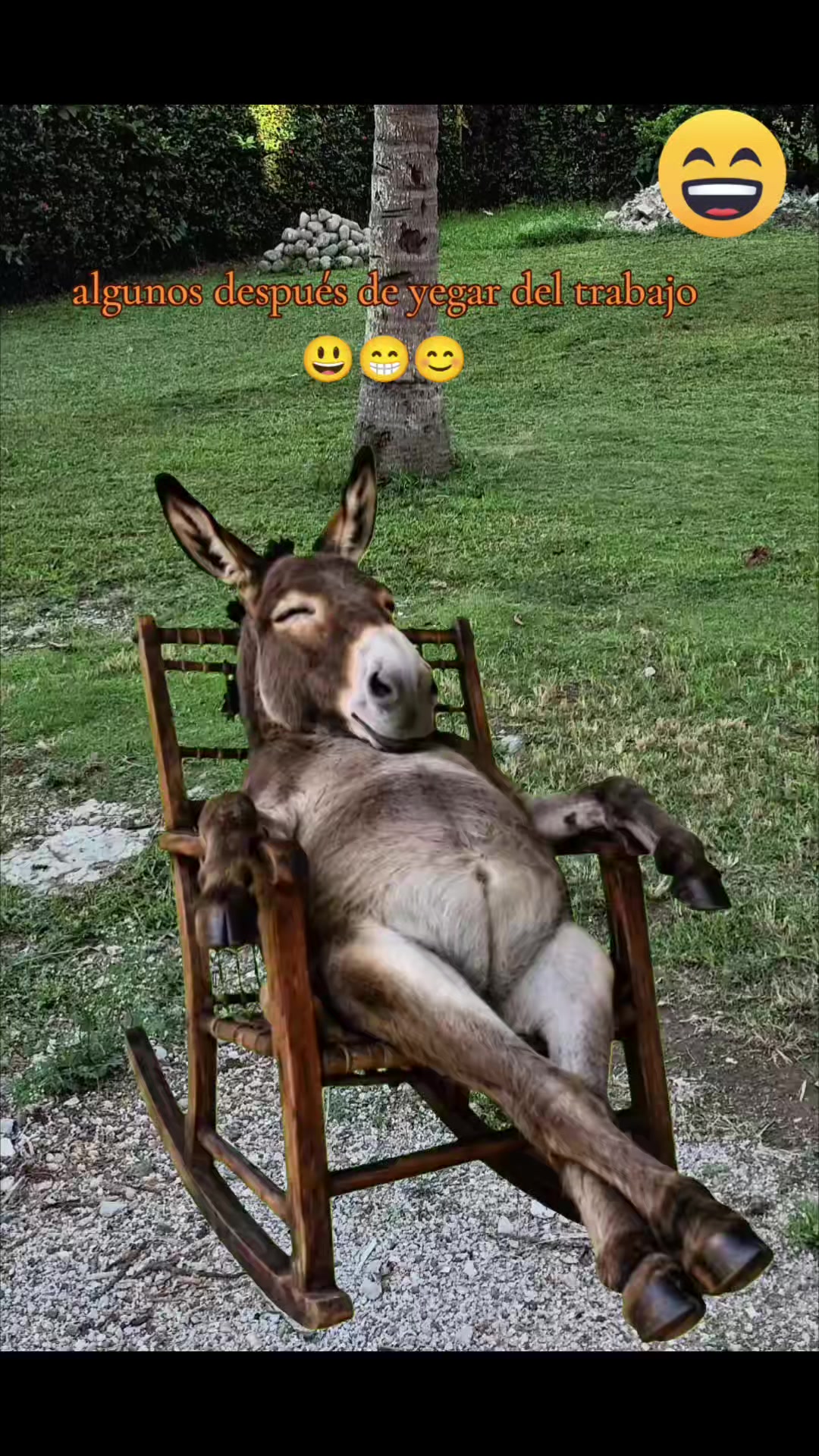 @𝙈𝙚𝙧𝙮 _4010