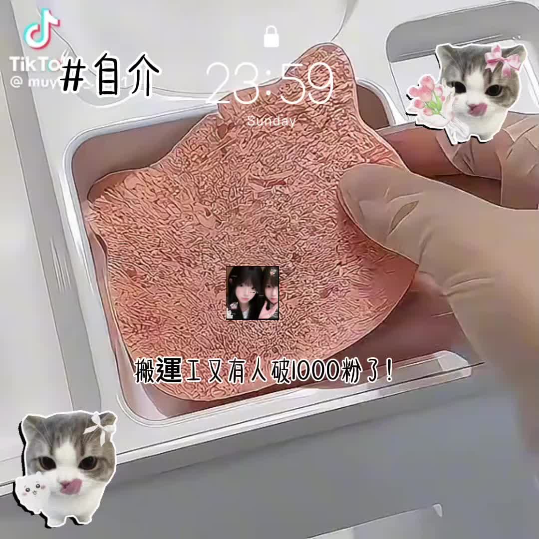 @ᡣ𐭩池眠皖.𓍼
