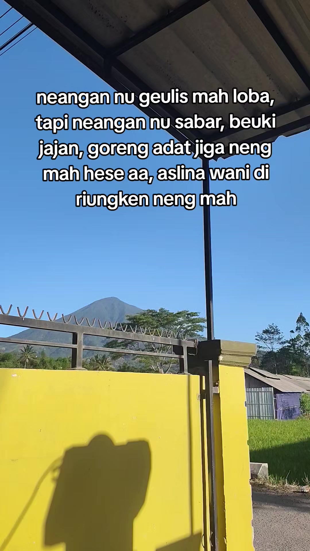 @vvtty
