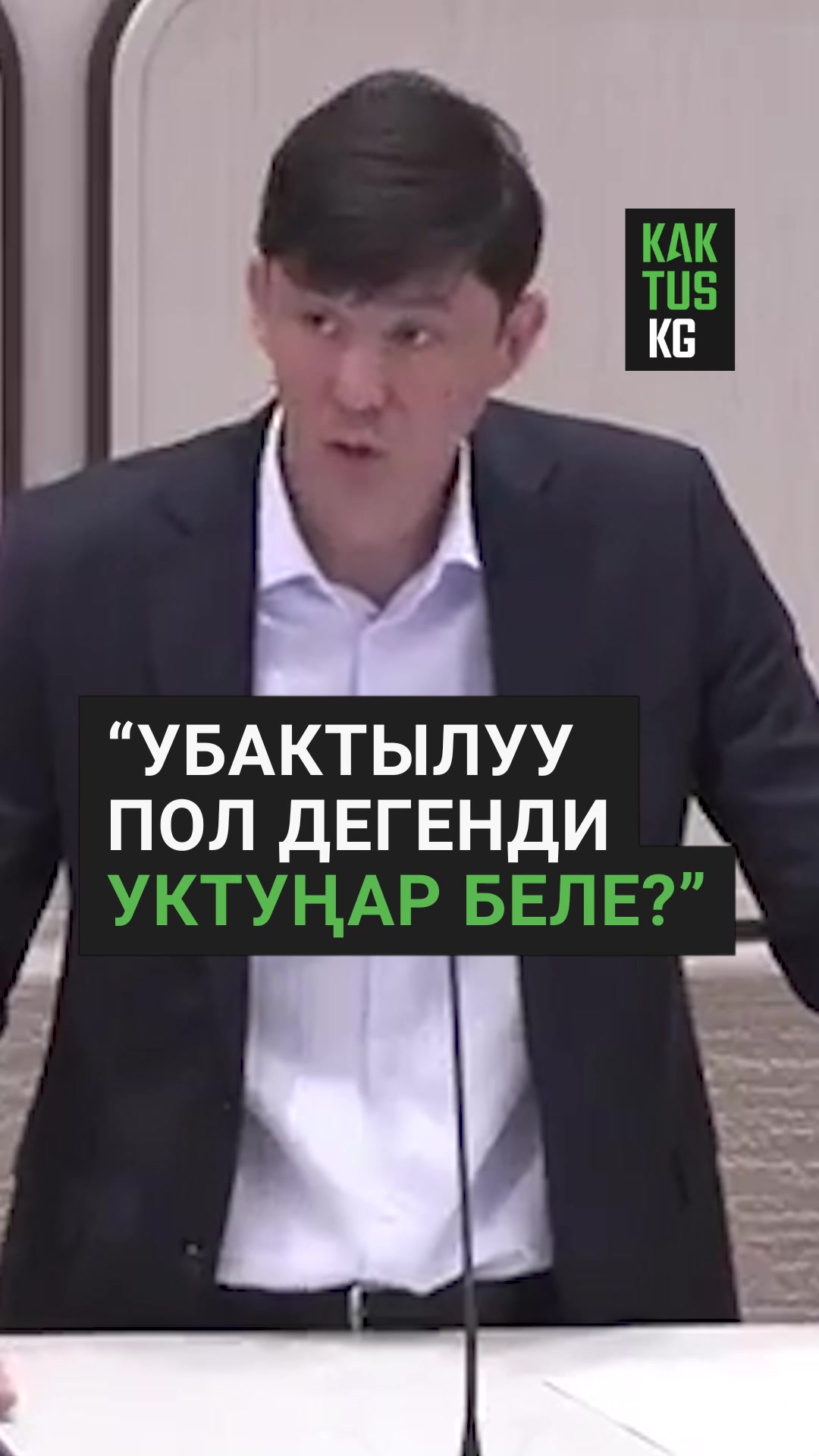 @Kaktus KG