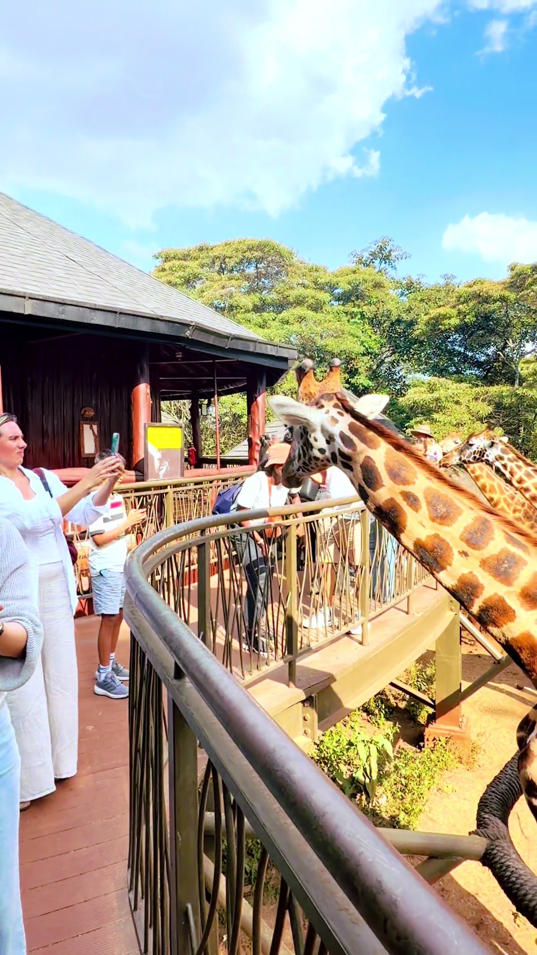 @Polmans Holiday Tours & Travel