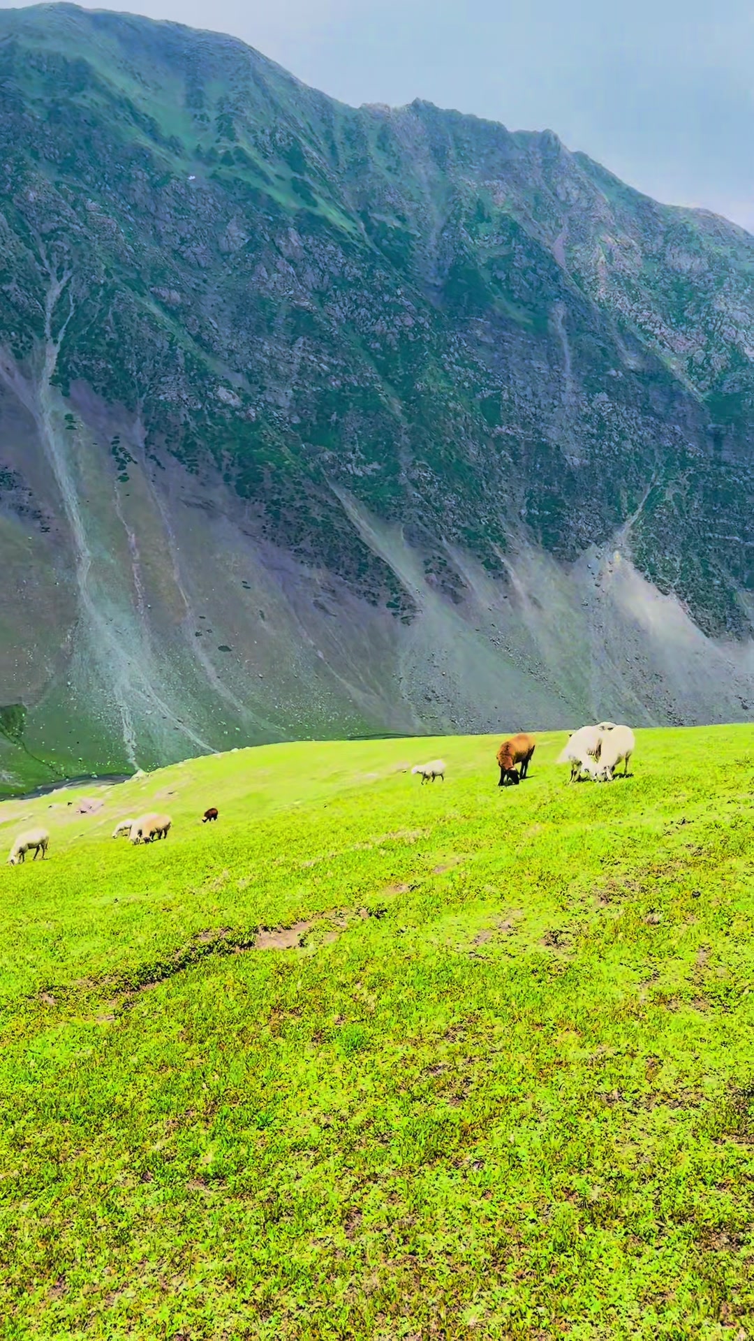 @Pakistan___Beauty