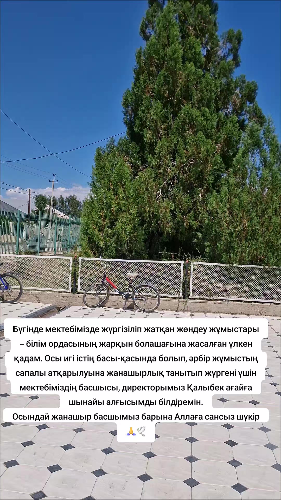 @Артыкова Ардак