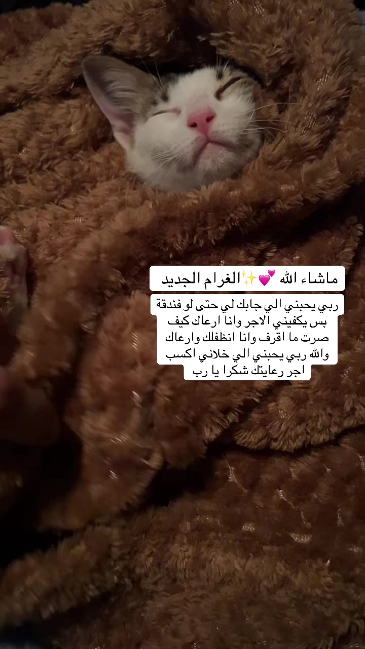 @لولو الحسني🇸🇦🫀
