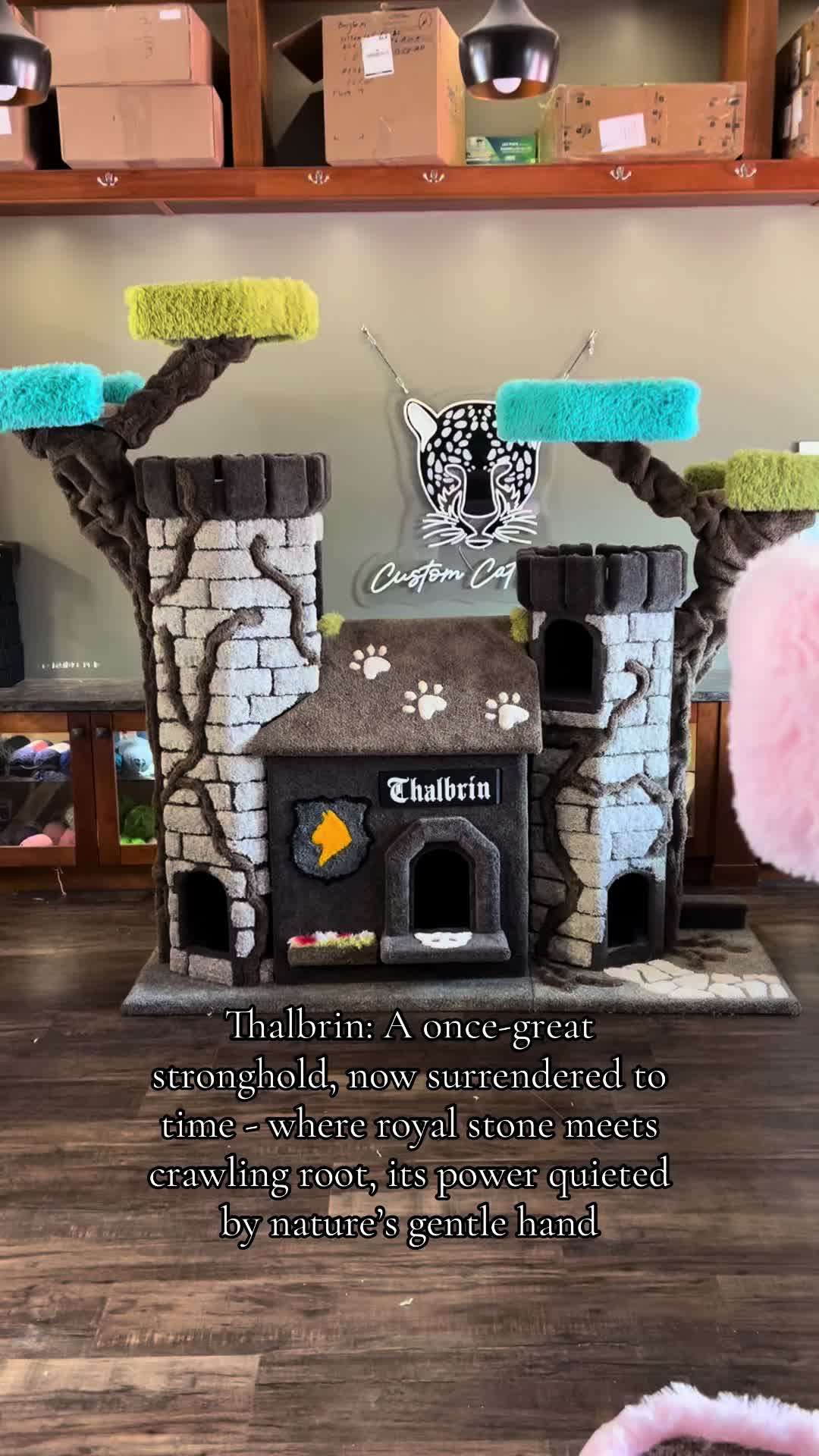 @customcatcribs