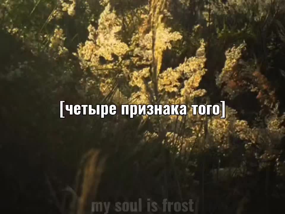 @my soul is frost