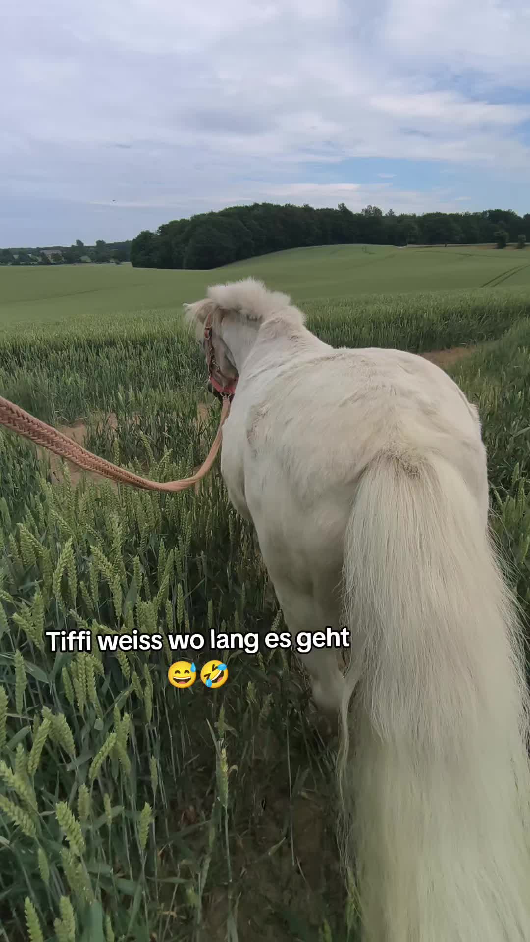 @tiffany_mein_glueckk
