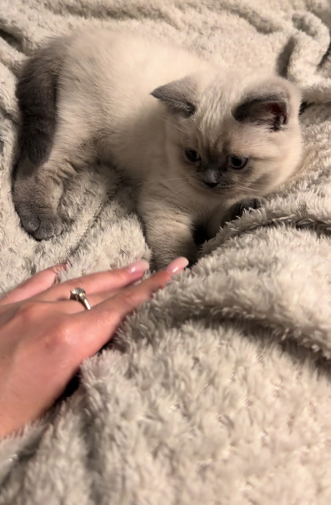 @Трускавецька киця 😻