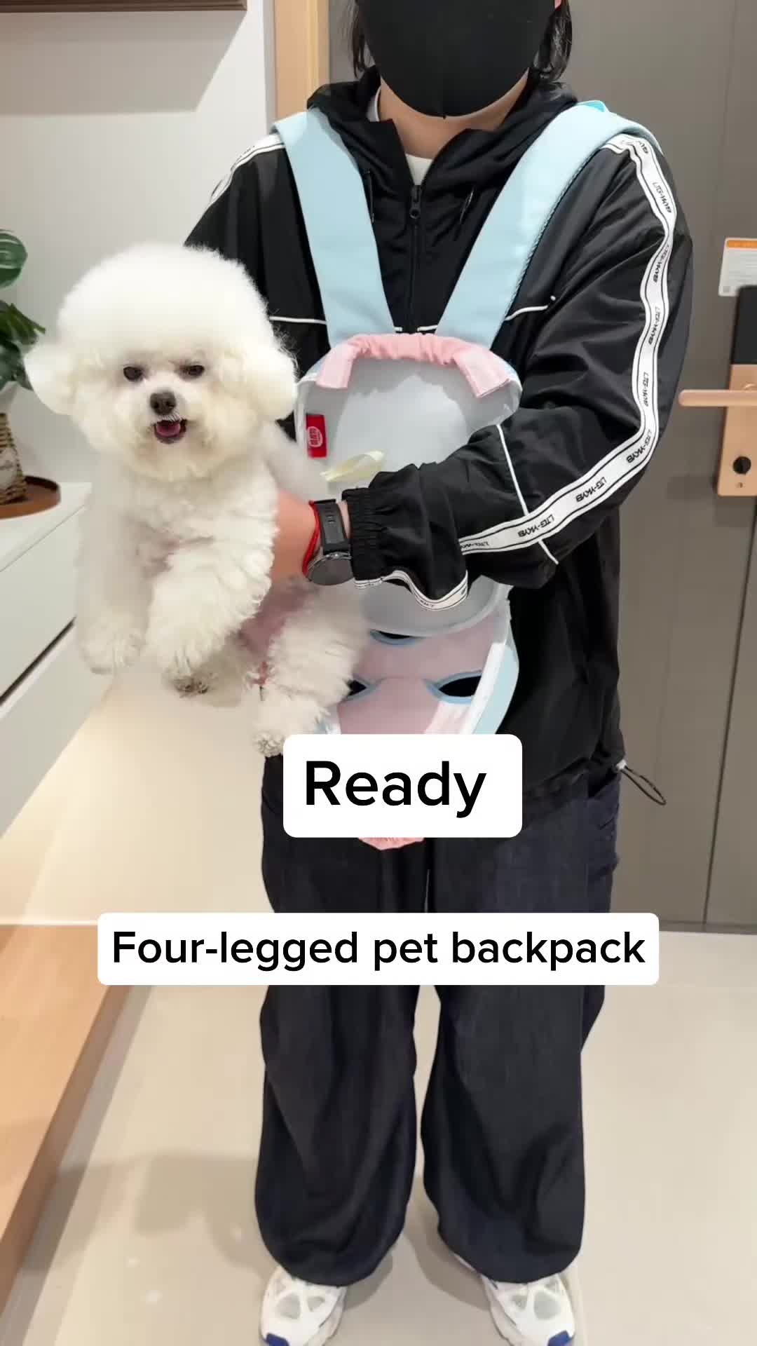 @Pet products