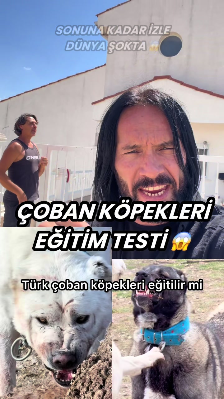 @yerli JOHN WİCK