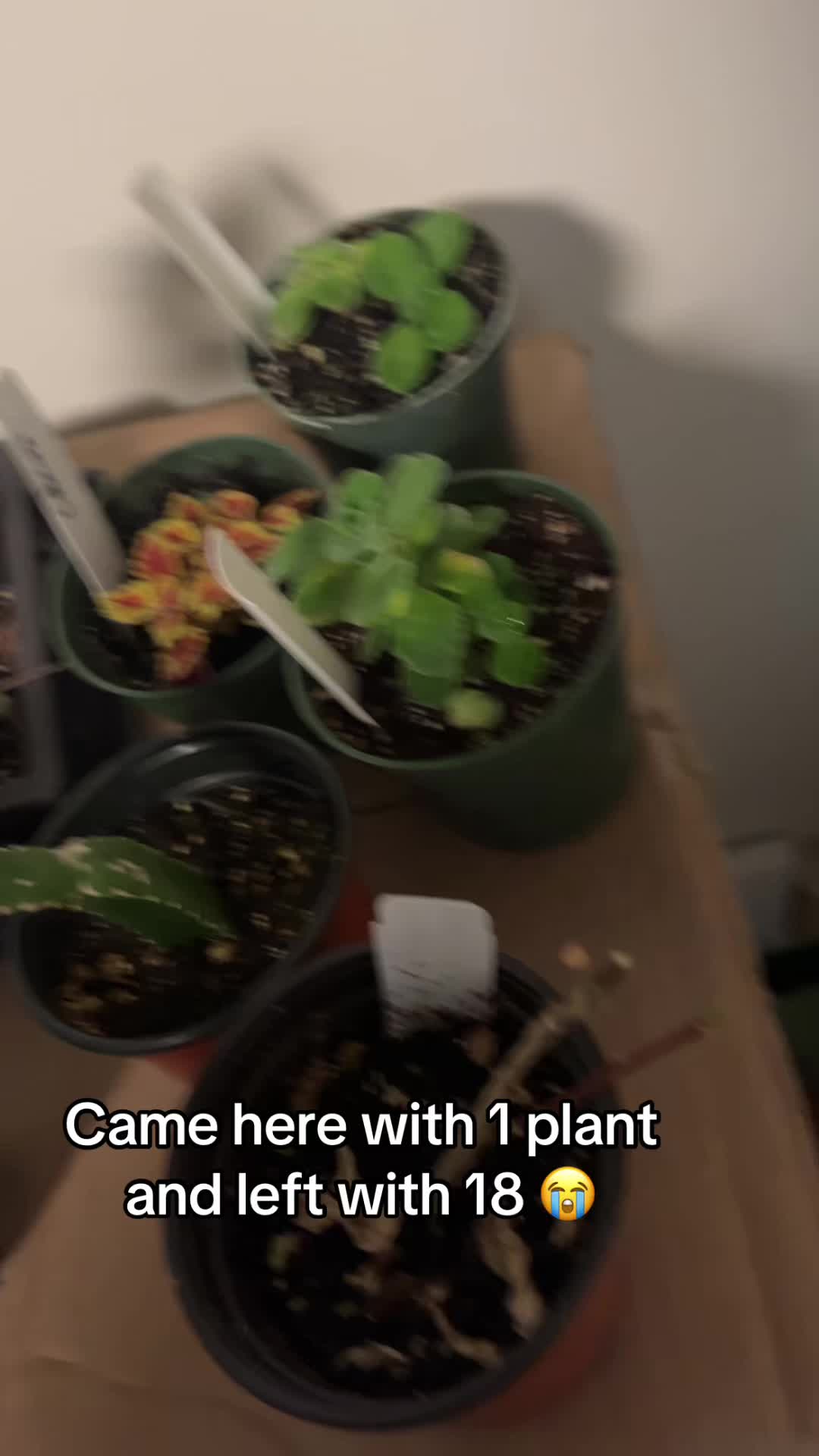 @CJ