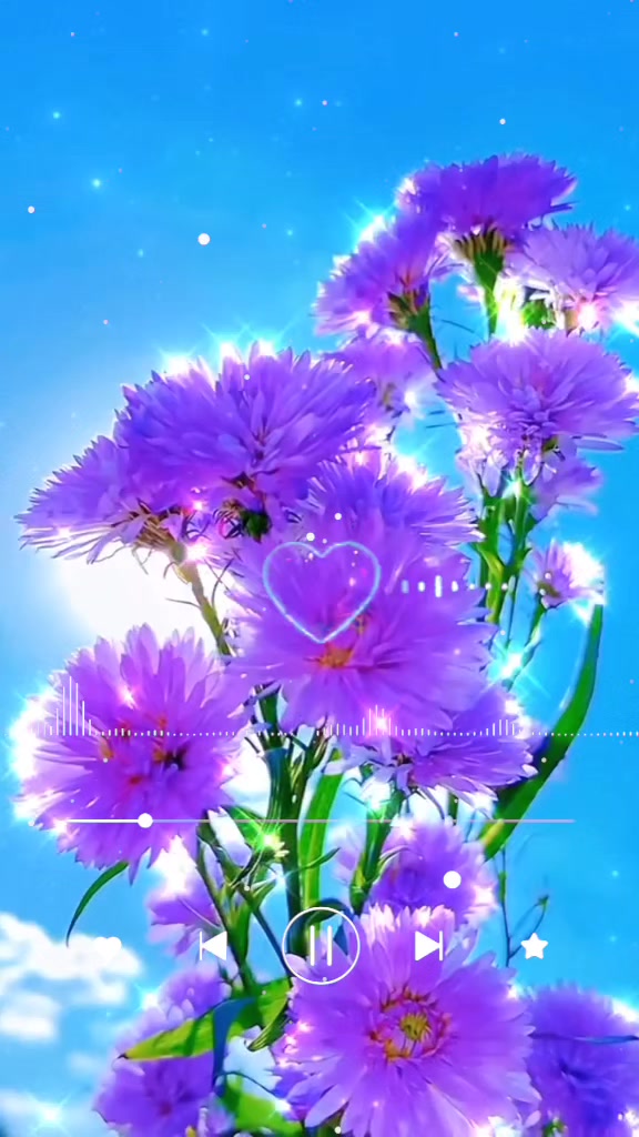 @best expression