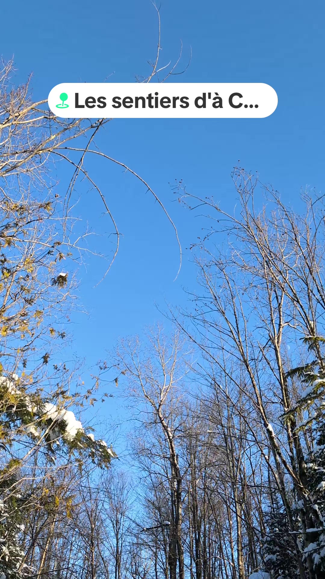 @Les sentiers d'à Côté ⛸️🌲