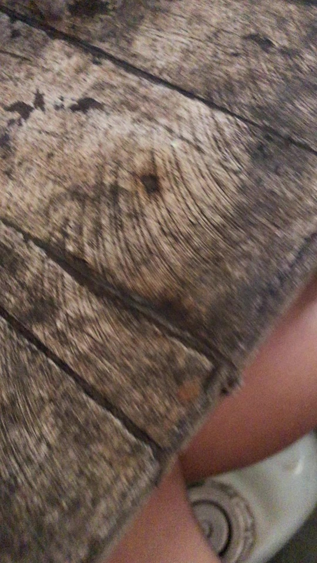 @_turzimm_