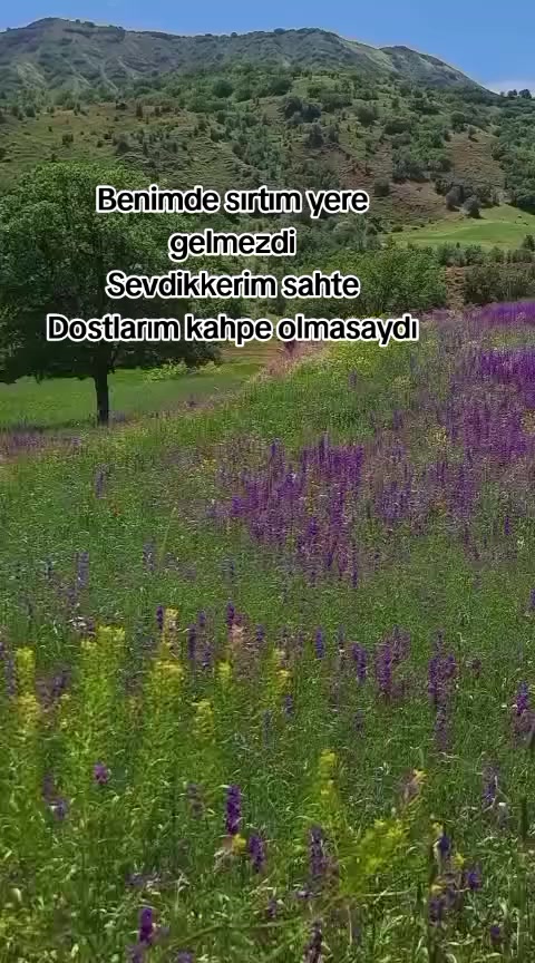 @Zübeyde karakaş 💜💙❤🩵