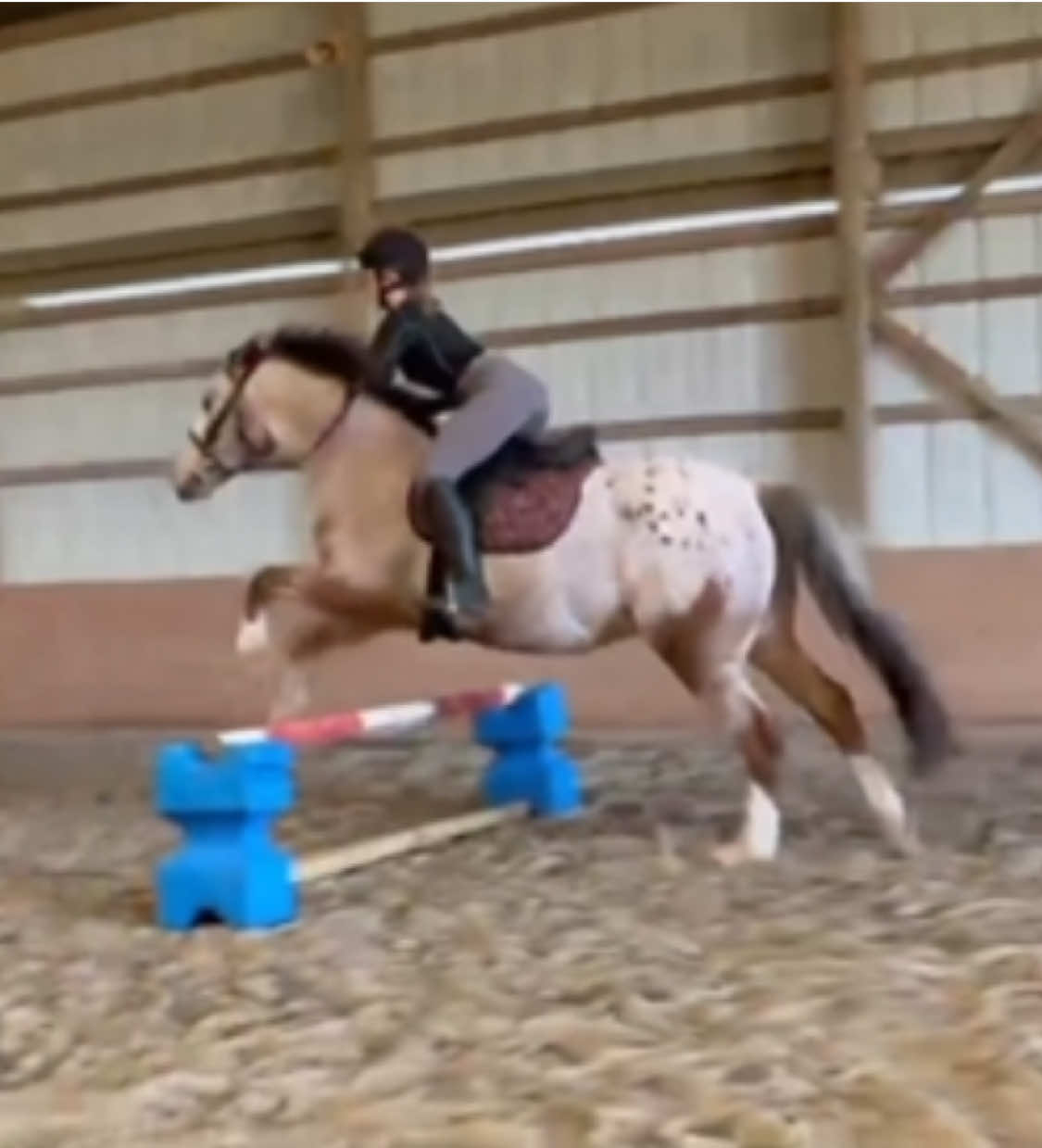 @Equestrian 🐴🐎
