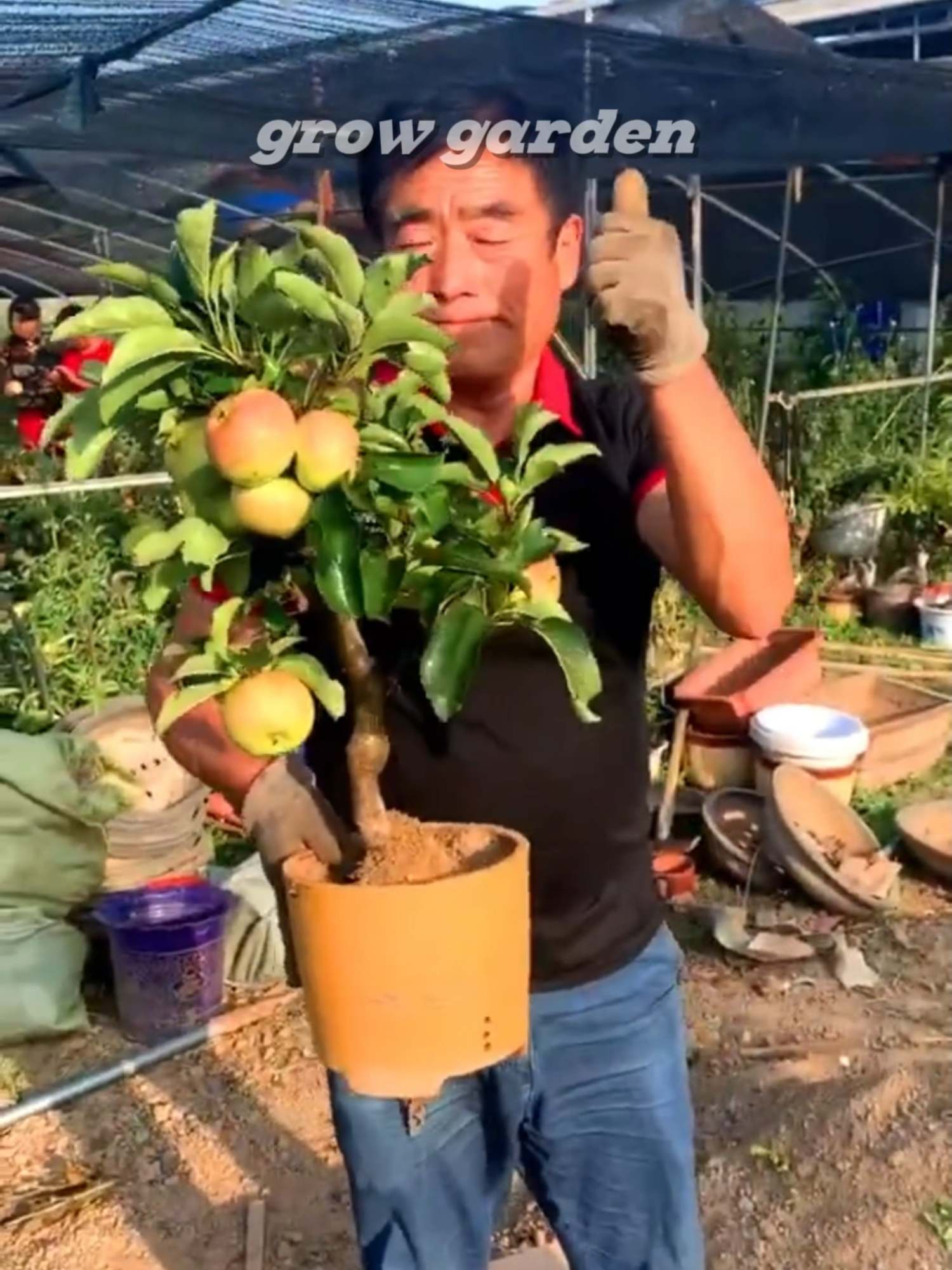 @Grow Garden