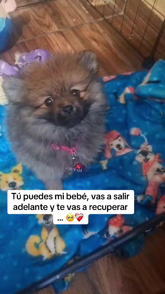 @Wenn García ✨