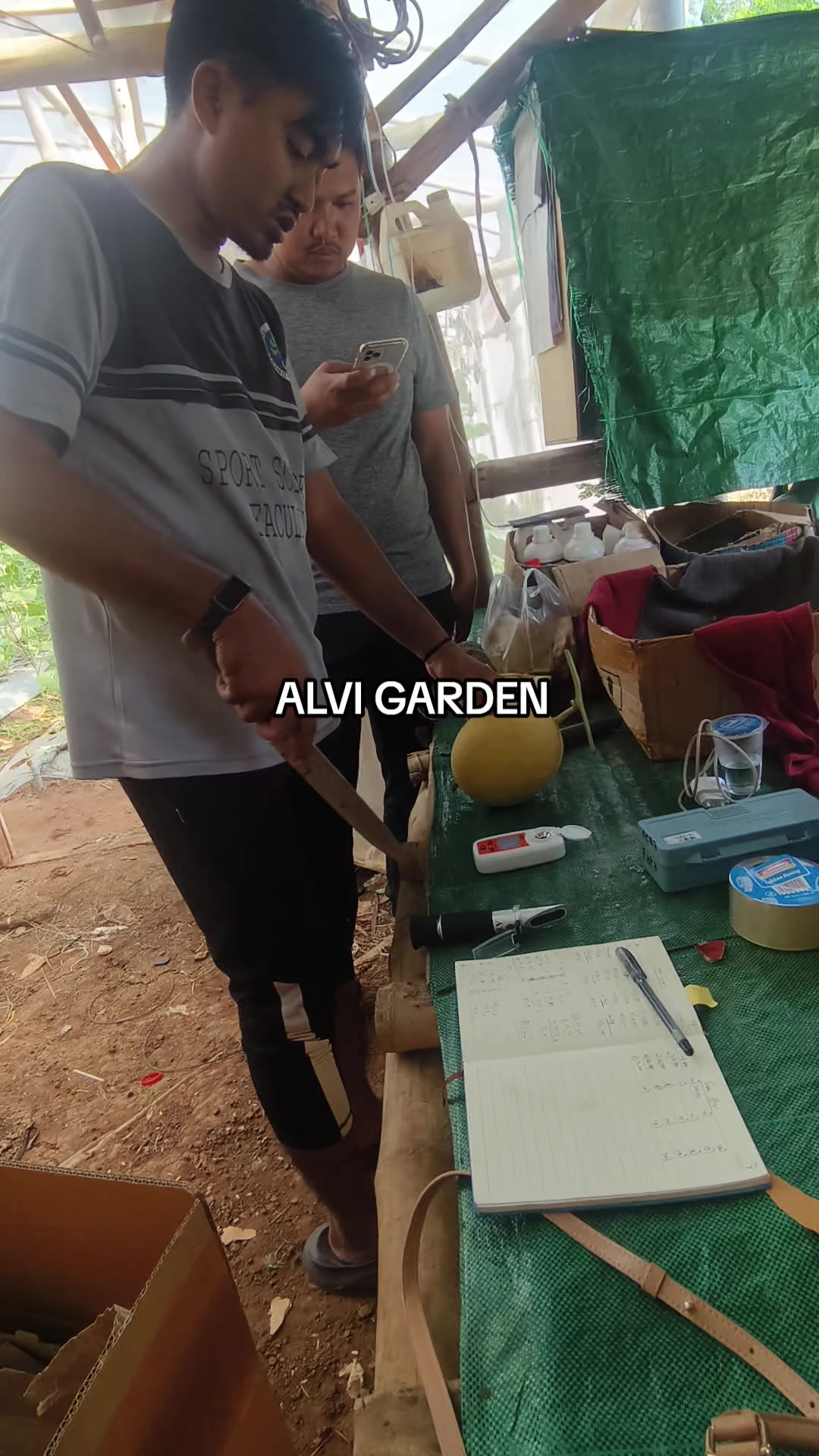 @Alvi Garden