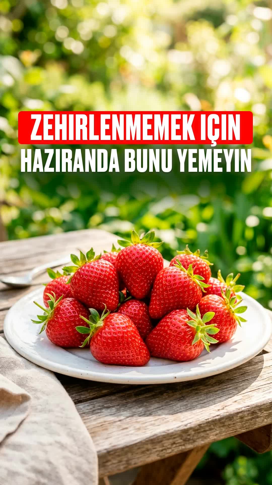 @Bolotov_Merkezi