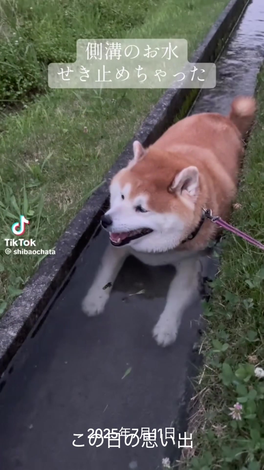 @とも