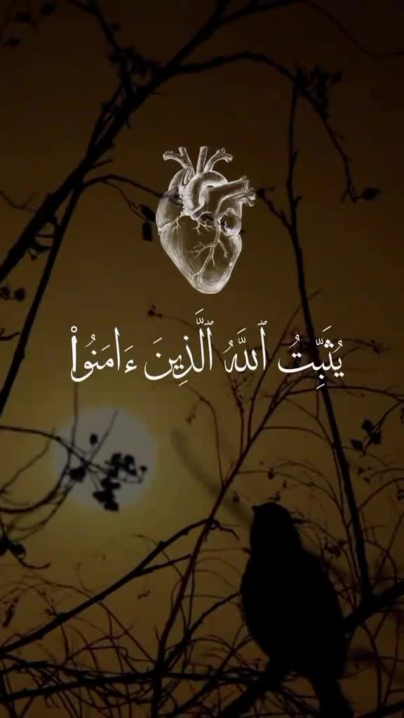 @احمد الحلاوي الحلاوي